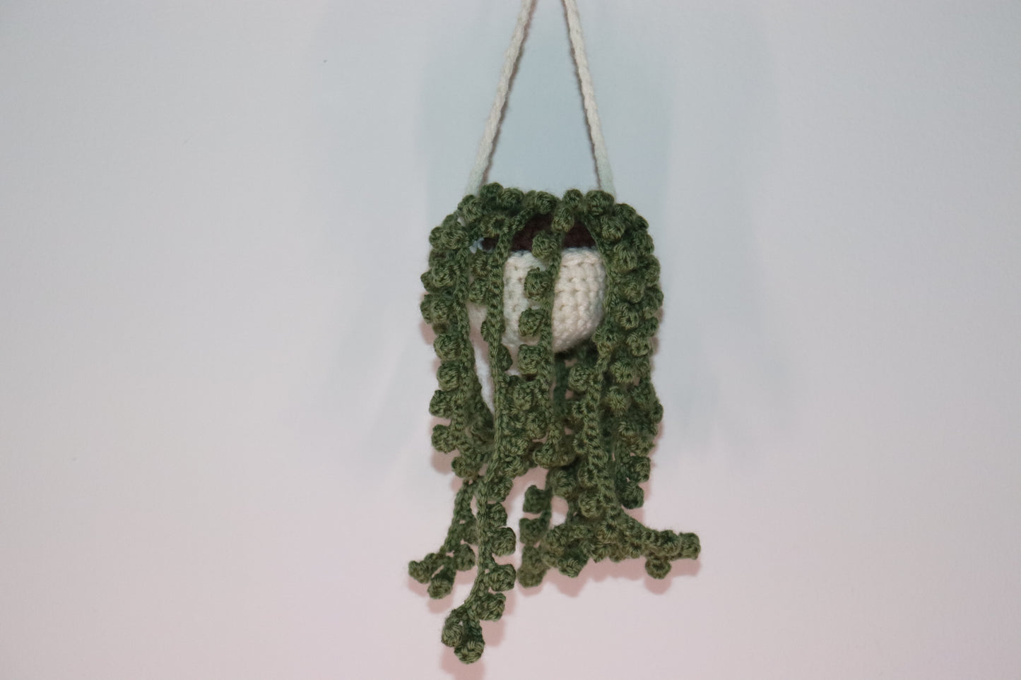 String of Pearls Hanging Planter