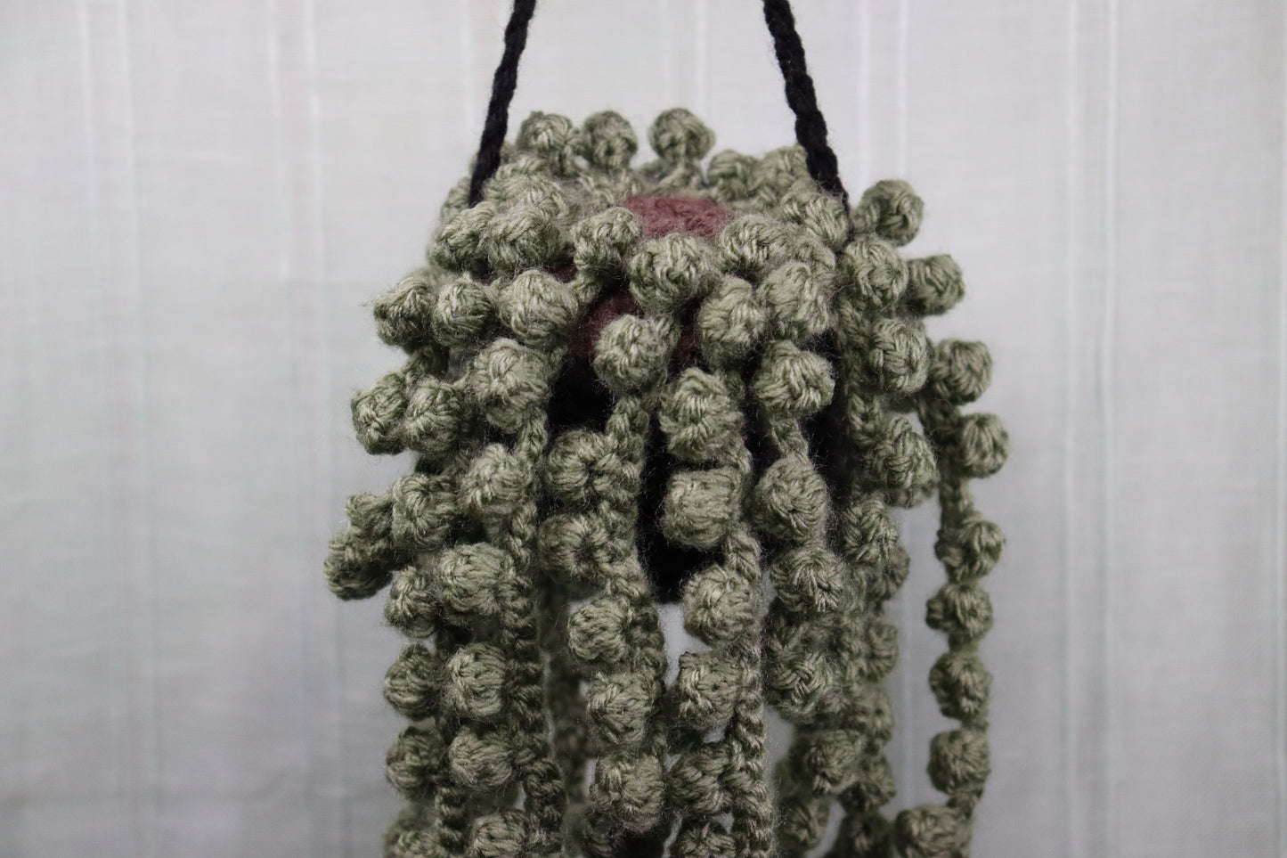 String of Pearls Hanging Planter