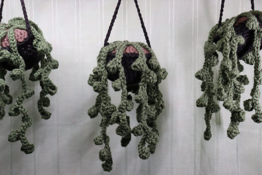 Flower Vine Hanging Planter