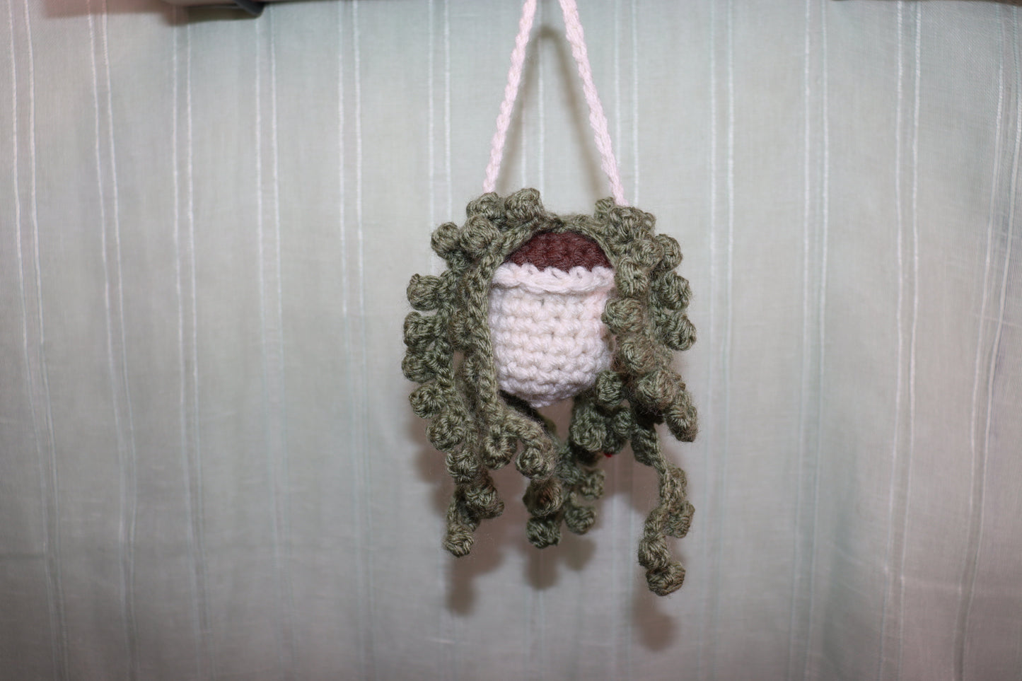 String of Pearls Hanging Planter