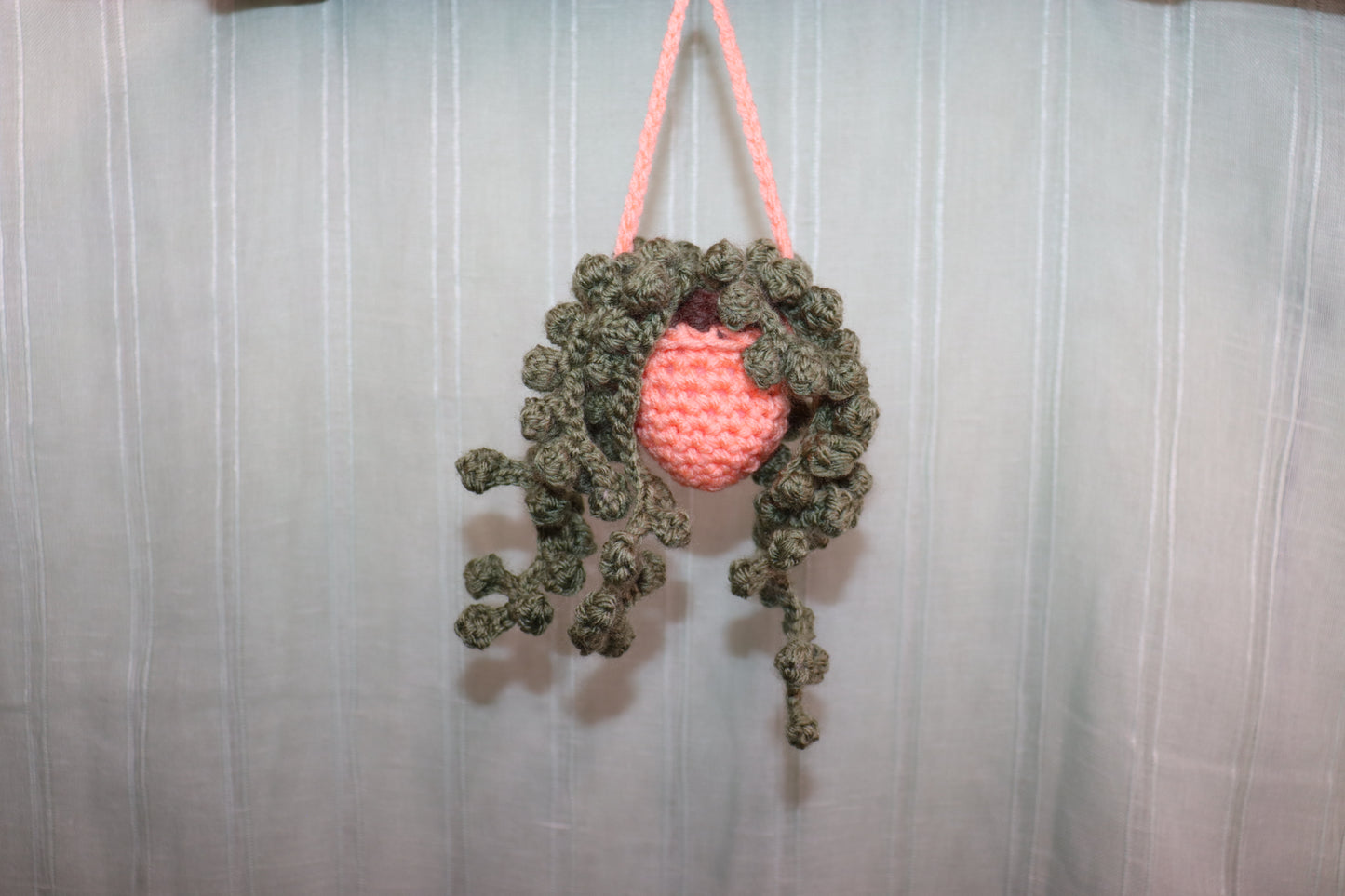 String of Pearls Hanging Planter