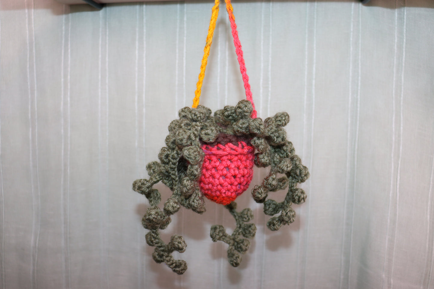 String of Pearls Hanging Planter