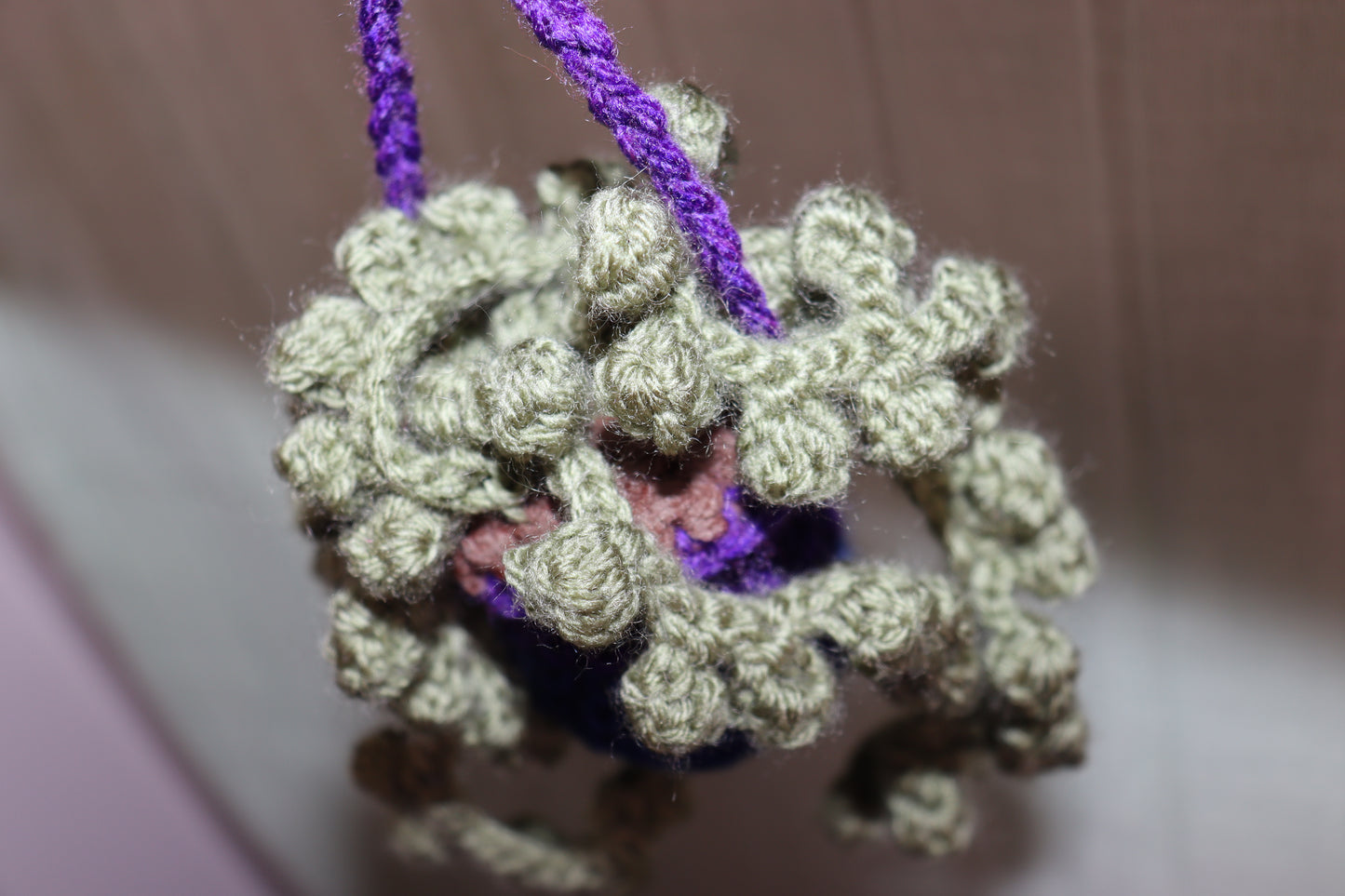 String of Pearls Hanging Planter